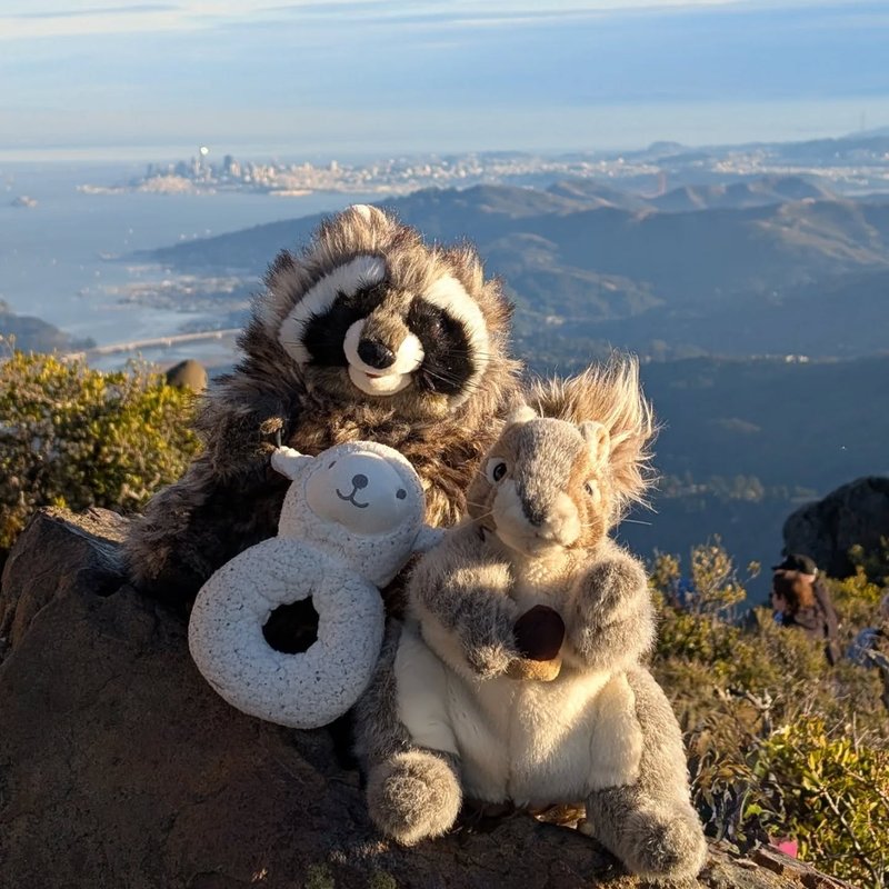 Mr Rattle adventure