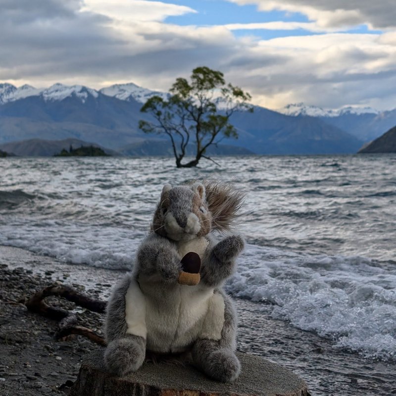 Squeaker adventure
