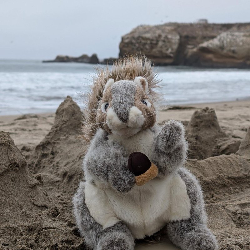Squeaker adventure