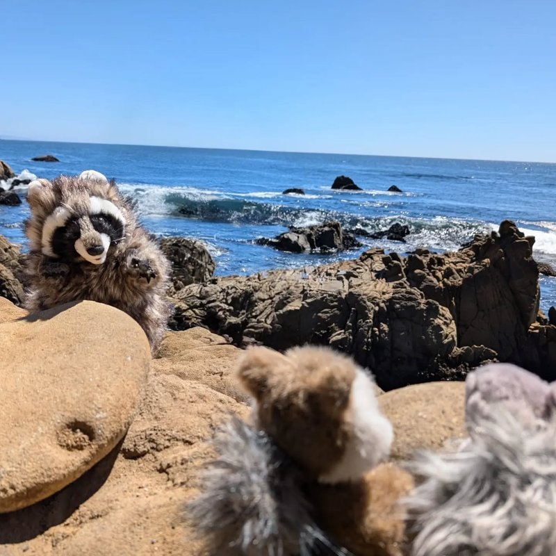 Lady Douglas adventure