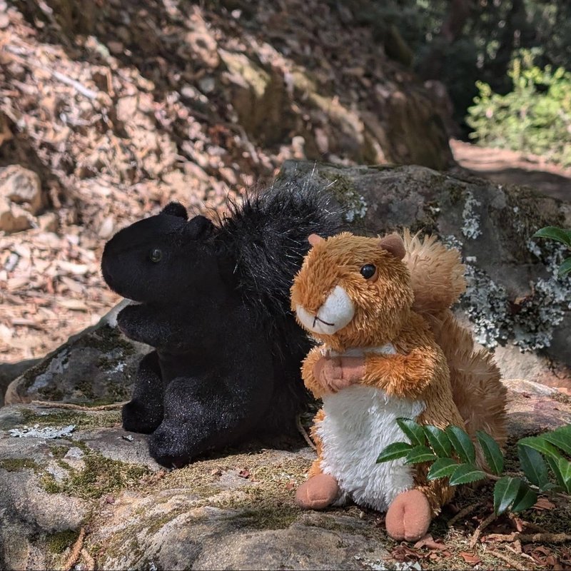 Sir Douglas adventure