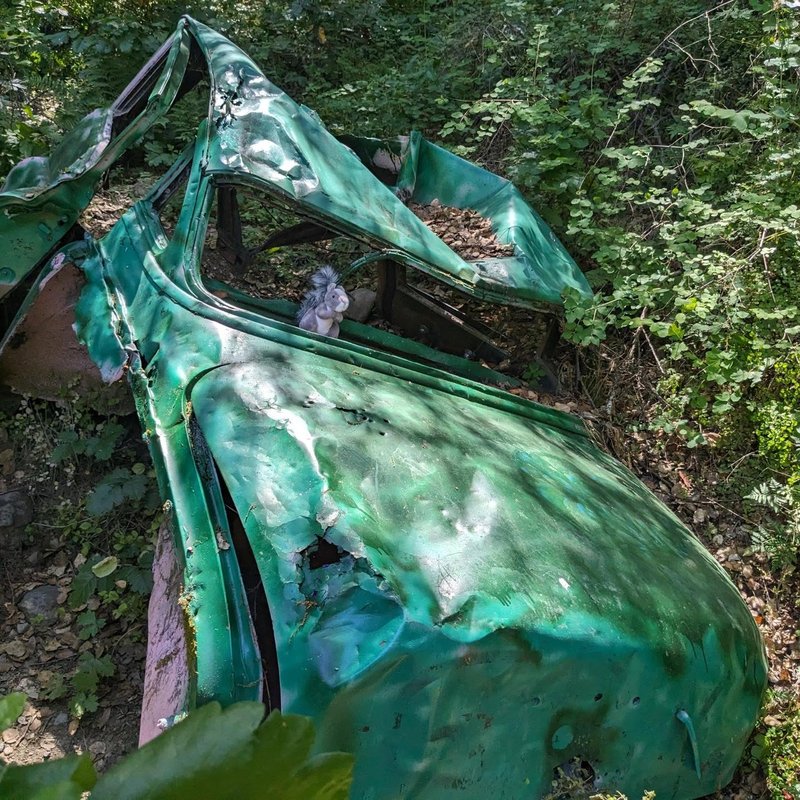 Stuffed squirrel adventure