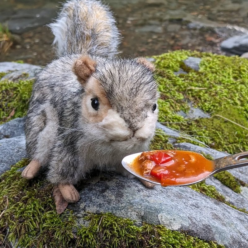 Stuffed squirrel adventure