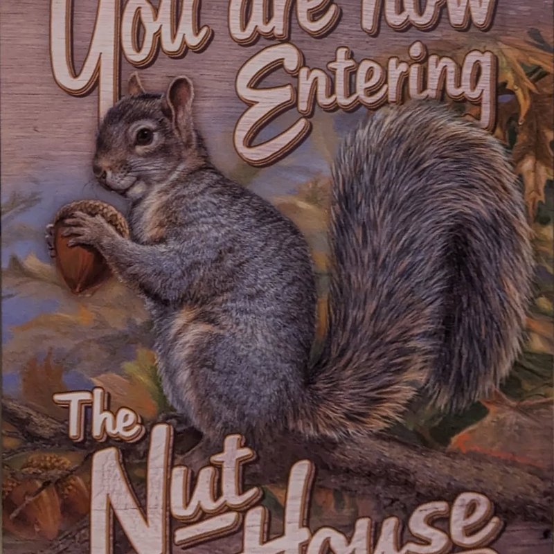 Stuffed squirrel adventure